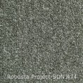 /products/robusta-project-sdn-474/